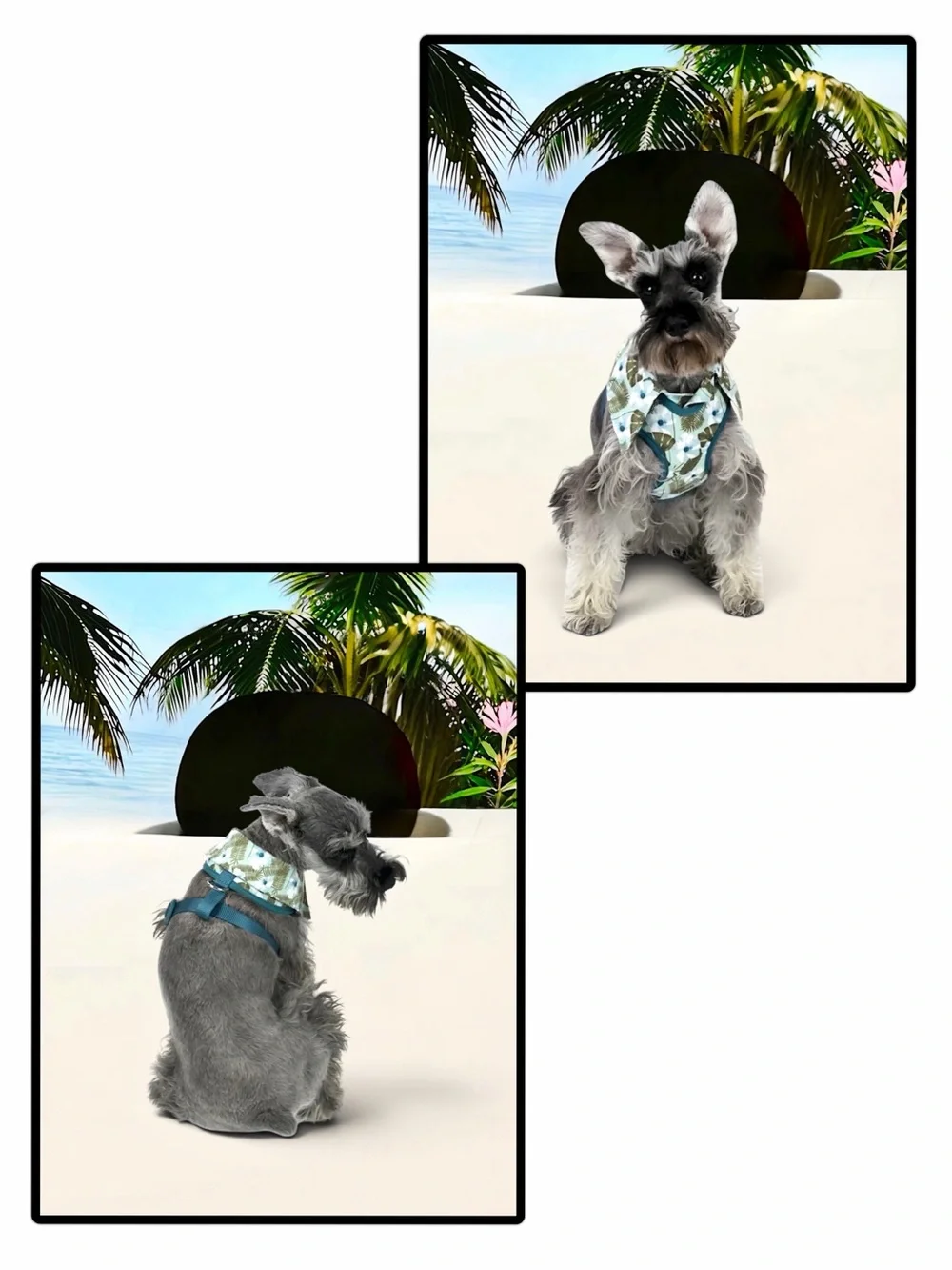 Vibrant Life Dog Hawaiian Shirt Harness